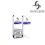 Cinnamon  - 10ml Hangsen