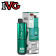 Mint Edition - IVG 2400 Disposable Vape